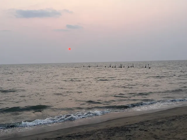 Kozhikode