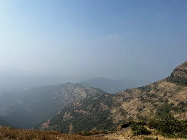 Pune