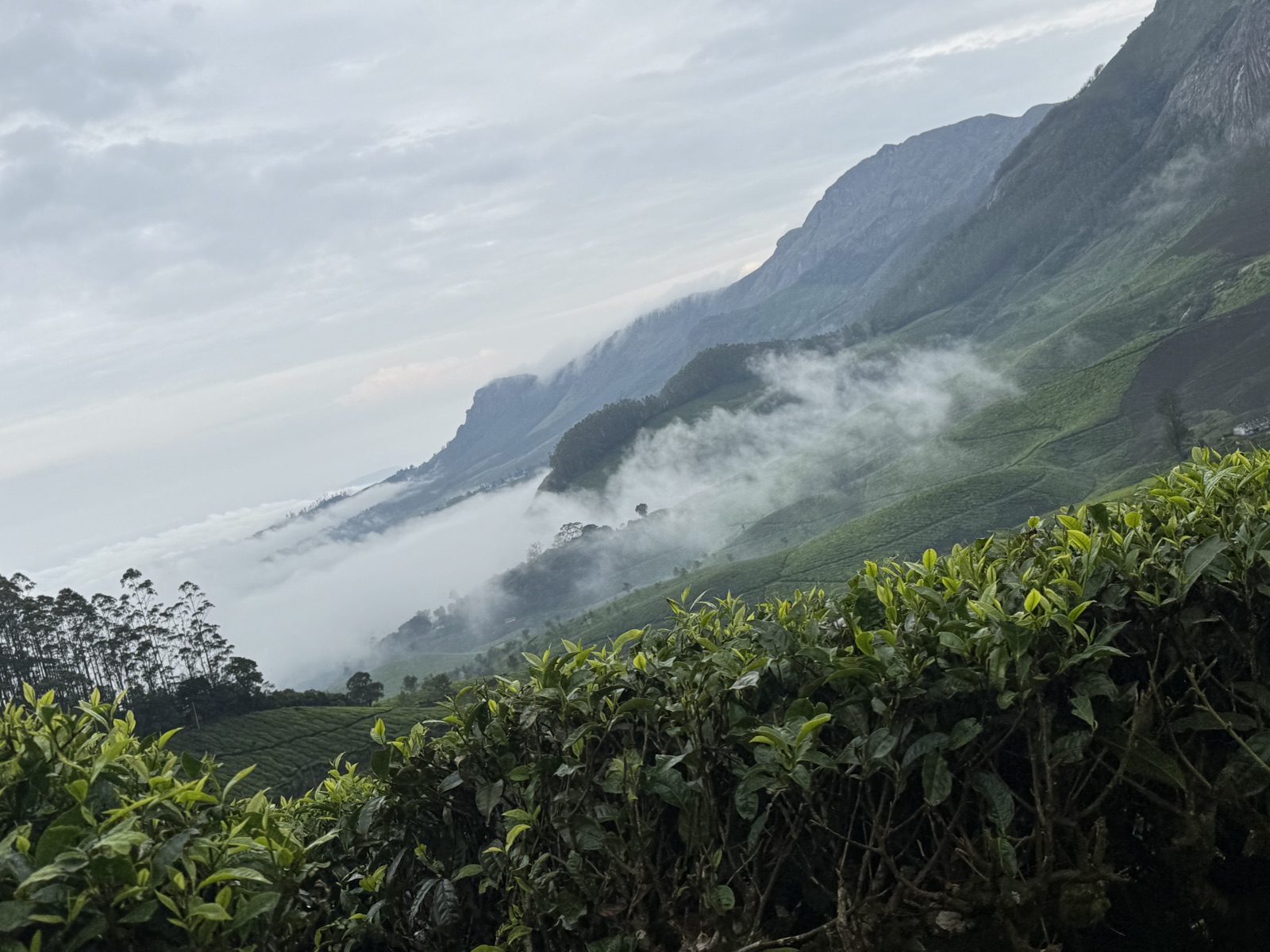 Munnar