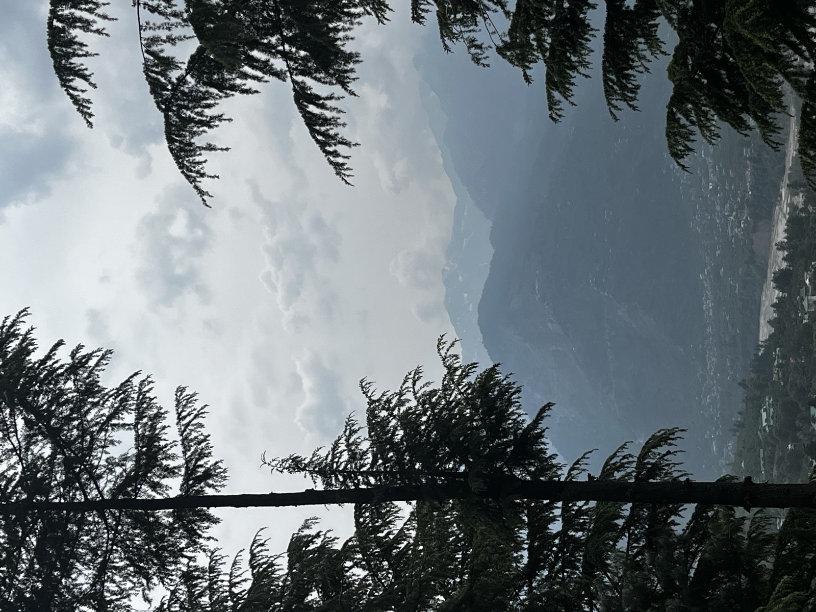 Naggar