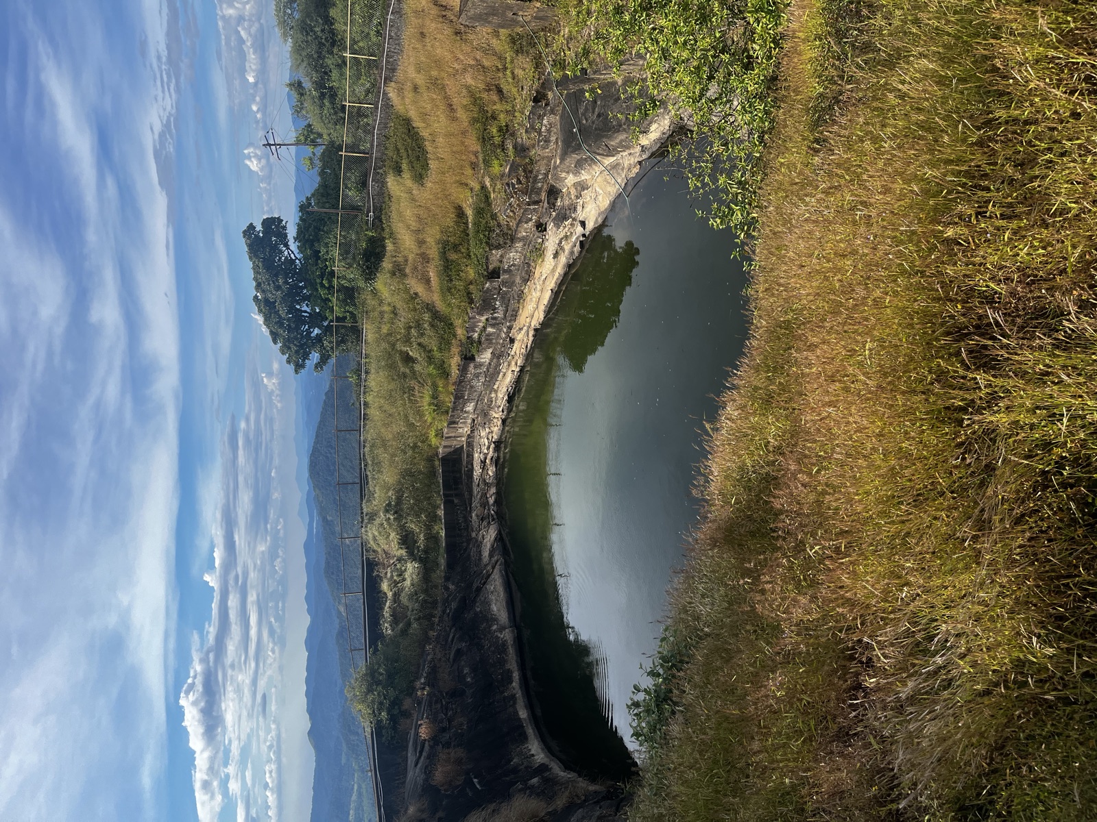 Shimoga
